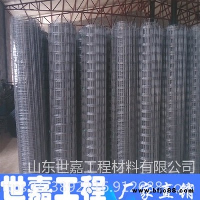 鋼絲格柵_軟地基鋼絲格柵_高強鋼絲格柵 世嘉郝總推薦