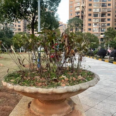 黃銹石石雕花盆花崗巖雕刻花缽庭院園林種花雕塑石雕花盆室內石盆