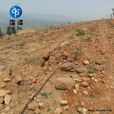 山西忻州園藝滴灌霈澤20L穩(wěn)流器20PE管價格