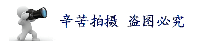 昆鋼角鋼，5#角鋼價格，4#角鋼多少錢，昆明角鋼批發價格示例圖2