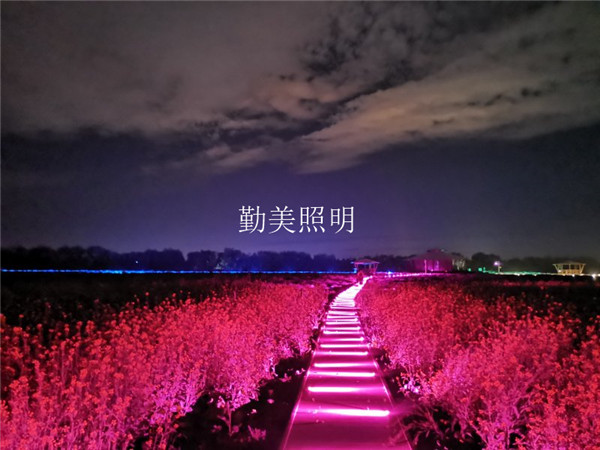 供應(yīng)3W明裝免開孔預(yù)埋側(cè)出光LED地埋燈/LED棧道燈/木棧道射燈示例圖3