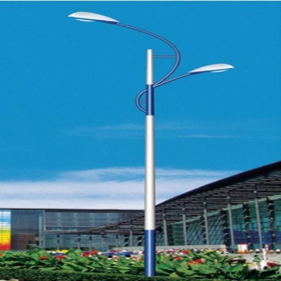 濮陽景觀燈 景觀燈廠家電話 濮陽LED路燈價格 舜源景觀燈安裝 質量保障 終身售后