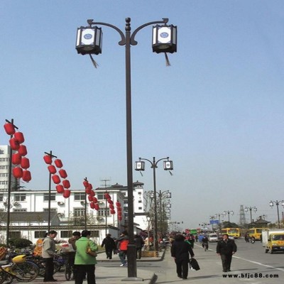 湘西路燈廠家 新農(nóng)村景觀燈安裝 景觀燈廠家直銷 庭院燈價(jià)格 質(zhì)量可靠