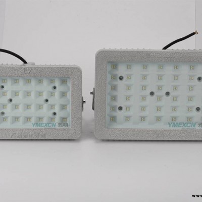 100WLED防爆投光燈 化工廠倉庫加油站免維護(hù)防爆LED照明燈