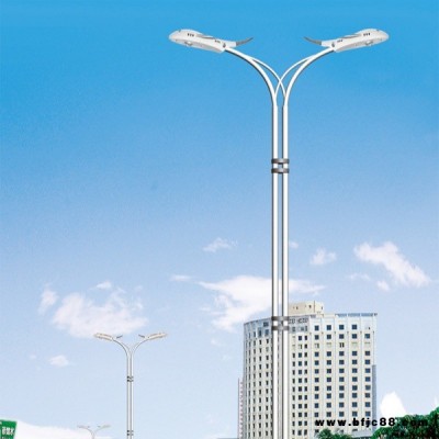 河北 廠家供應 可定制新農村市電互補太陽能路燈LED金豆燈具飛機燈4米5米6米30瓦40瓦LED庭院燈市電路燈 海螺臂