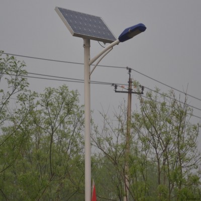 陽江景觀燈 景觀燈廠家電話 陽江LED路燈價格 舜源景觀燈安裝 質量保障 終身售后