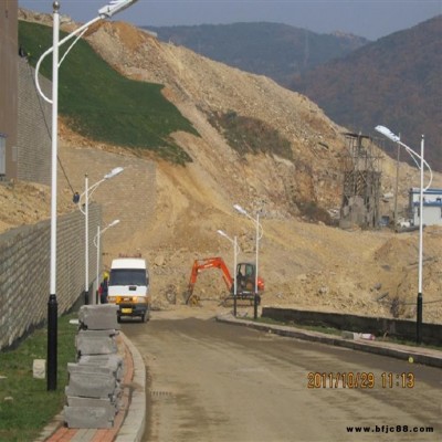 鶴崗景觀燈 景觀燈廠家電話 鶴崗LED路燈價格 舜源景觀燈安裝 質量保障 終身售后