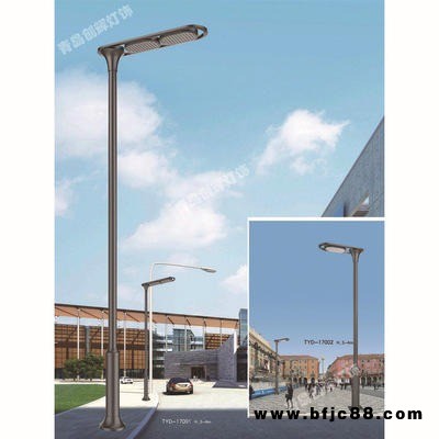LED庭院燈廠家 高亮照明 造型新穎 量大從優 創輝  CH-TYD