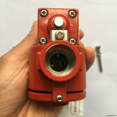 優勢代理【原裝】RGS電磁閥Pneumatrol防爆電磁閥C1519P0000