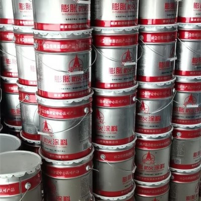 鋼構防火涂料-防火涂料-中建防火(查看)