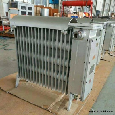 干燒型RB-2000/127A煤礦用防爆電熱取暖器C位出道