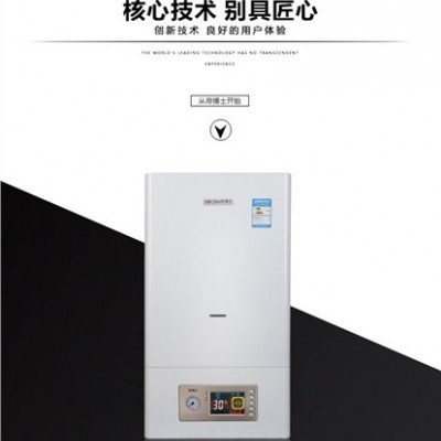 青海環保壁掛爐價格 歡迎咨詢 河北也鴿環保科技供應