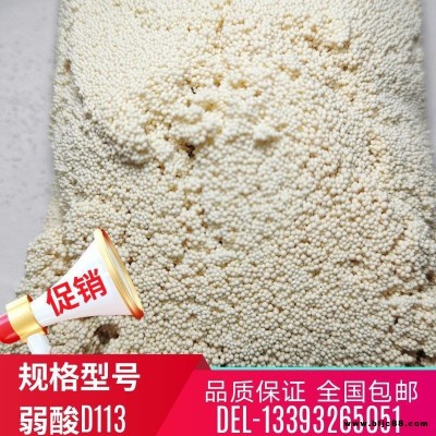 D113陽(yáng)離子樹(shù)脂 D113弱酸性樹(shù)脂 津達(dá)正源