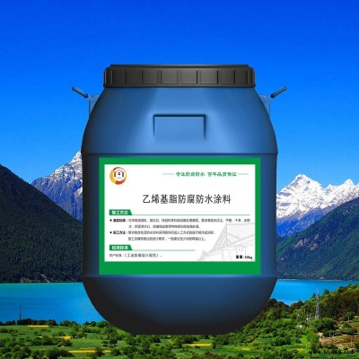 乙烯基復合防腐涂料 金虹盾 VRA-II混凝土結構防腐涂料 VRA-LM防腐涂料