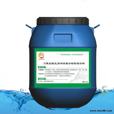 IPN8710防腐涂料  IPN聚合物防腐涂料 IPN聚氨酯防腐涂料