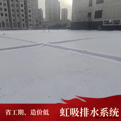 虹吸排水板價格 聚乙烯hdpe排水板 排水板施工方案虹吸排水板價格