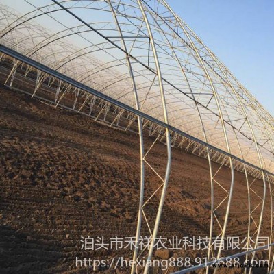 薄膜保溫陽光大棚 雙膜骨架大棚 雙膜骨架建設 禾祥農業 溫室大棚雙膜骨架