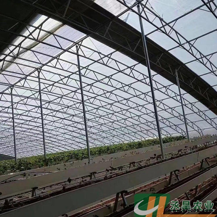 羊肚菌大棚 雙層膜溫室骨架 雙膜骨架大棚 丞昊農業制造 大棚鋼架 100型雙膜骨架