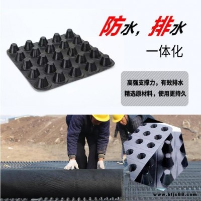 HDPE排水板廠家供應(yīng)  30厚凹凸排水板  凹凸排水板