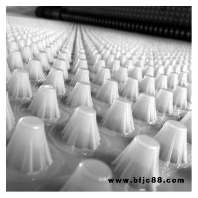供應(yīng)蘇州復(fù)合防護(hù)排水板廠家 白色透明排水板定做生產(chǎn) 凹凸塑料排水板經(jīng)銷商