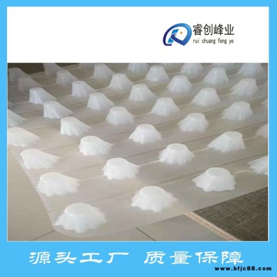 排水板-鎮(zhèn)江-塑料排水板-車庫排水板詳細(xì)解讀