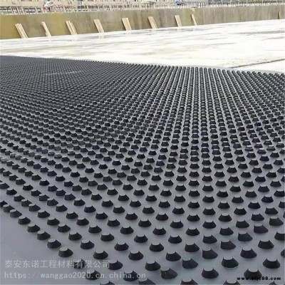 防滲排水板 隔熱排水板 堤壩用排水板 護(hù)坡用排水板 排水板價(jià)格 廠家直銷