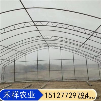 大棚雙膜骨架 保溫大棚 禾祥農(nóng)業(yè) 雙膜骨架大棚 溫室大棚雙膜骨架