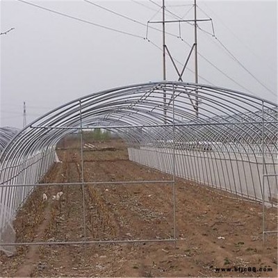 鼎誠雙膜骨架 鍍鋅雙膜骨架 供應(yīng)農(nóng)用鍍鋅大棚骨架 廠家 鍍鋅雙膜骨架廠家