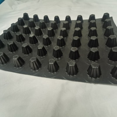40厚排水板 H20排水板 耐根穿刺排水板 創(chuàng)鴻 價(jià)格