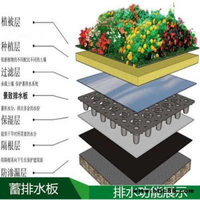 供應無錫車庫排水板廠家 凹凸型H20排水板質優價廉 凹凸塑料排水板經銷商