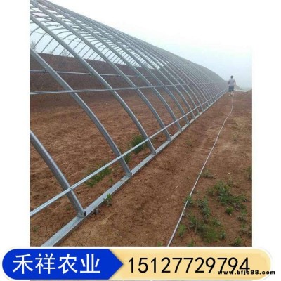 承接各種類型連棟大棚 禾祥農(nóng)業(yè) 雙膜骨架蔬菜大棚 溫室大棚雙膜骨架