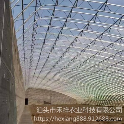 禾祥農業 大棚鋼架 雙骨架雙層膜溫室 雙膜骨架蔬菜大棚  畜牧養殖大棚