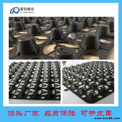 排水板-菏澤-凹凸排水板-車庫排水板點(diǎn)擊查看