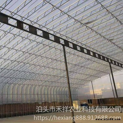 畜牧養殖大棚 禾祥農業 溫室大棚雙膜骨架 雙膜骨架大棚 雙模大棚骨架廠家