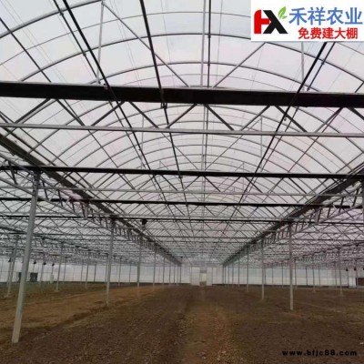 禾祥農業 大量出售 雙膜大棚骨架 大棚雙膜骨架廠家 可加工定做