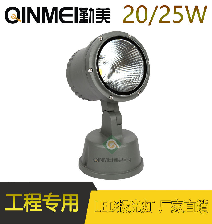 供應10W/12W/COB投光燈/照樹照墻面LED投光燈/帶反射器投光燈示例圖1