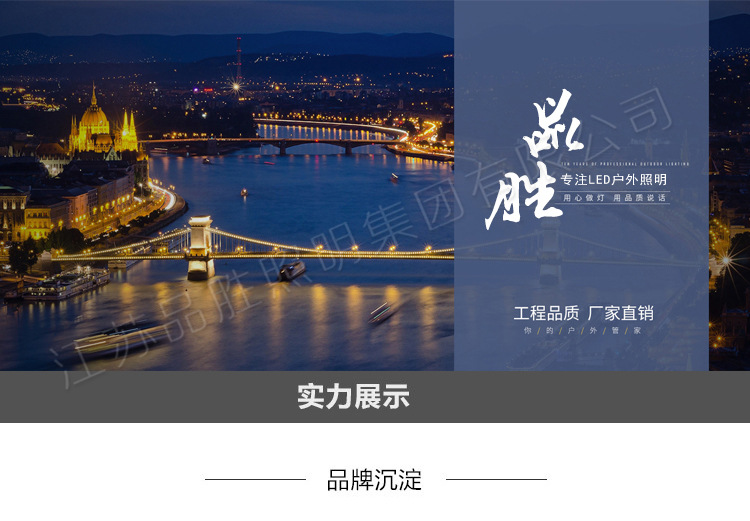 9米中華燈 太陽能路燈景觀燈 LED景觀中華路燈戶外庭院景觀燈示例圖1