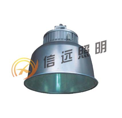 精品推薦 質優價廉 新款投光燈 led集成投光燈 雙頭投光燈示例圖3