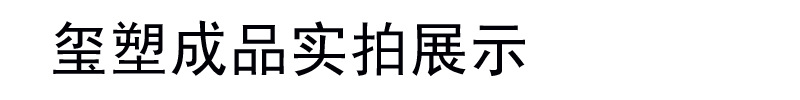 成品實拍.jpg