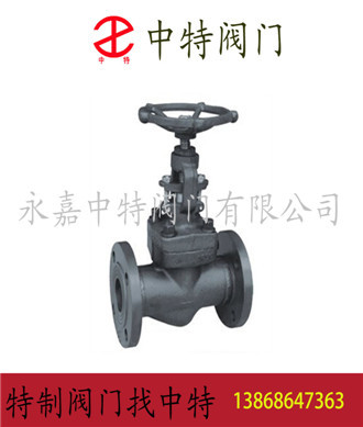中特專業生產鍛鋼閥，J41Y鍛鋼截止閥。示例圖2