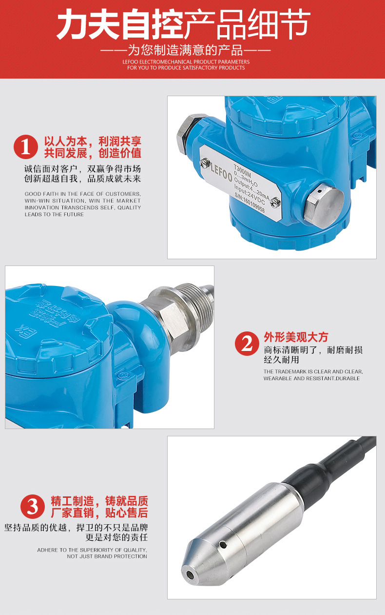 T3000液位壓力變送器、傳感器 投入式水位油箱液位計(jì)污水處理專用示例圖7