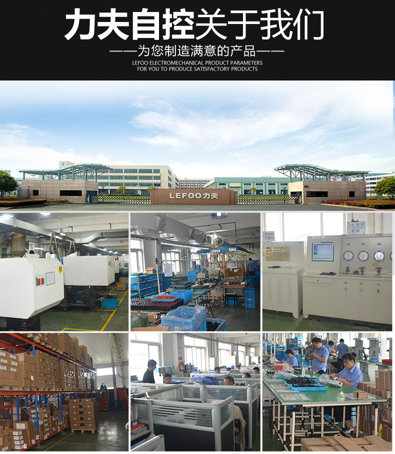 LEFOO LF08空壓機自動氣壓開關 氣泵壓力控制器 水油壓檢測開關示例圖13
