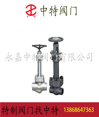 中特專業生產鍛鋼閥，鍛鋼低溫截止閥。示例圖2
