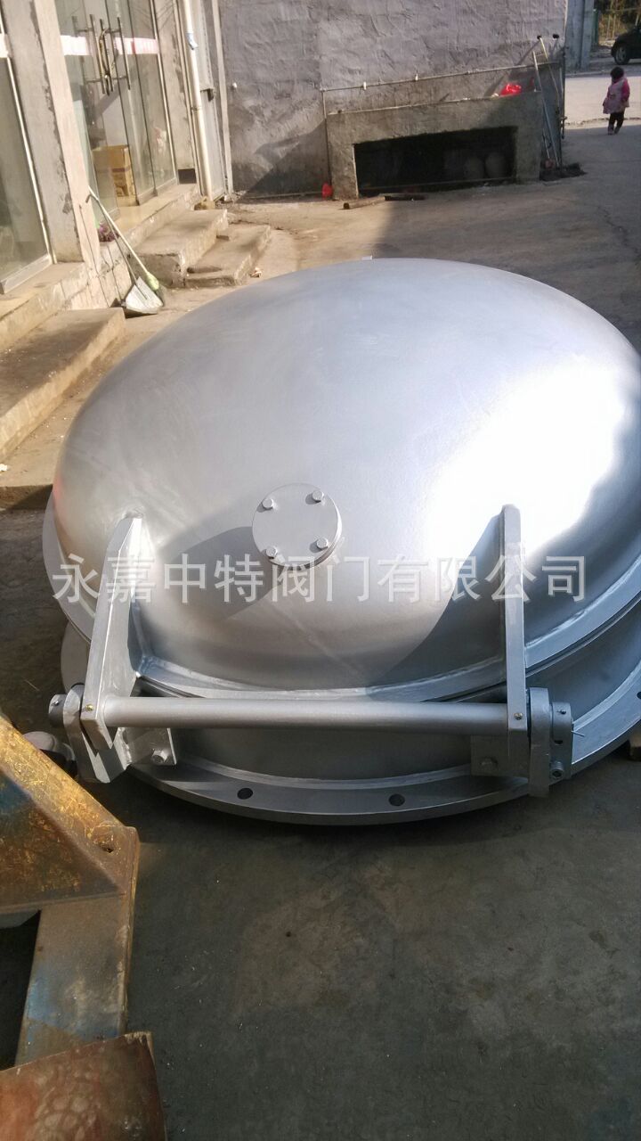 專業生產大口徑防洪泄水閥，拍門閥。示例圖5