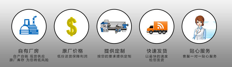 廠家直銷對夾式止回閥 H71W 彈簧止回閥 304不銹鋼止回示例圖6