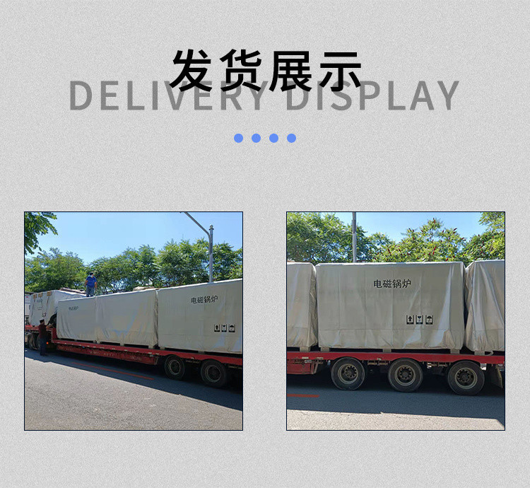 電加熱鍋爐 電磁鍋爐 半導(dǎo)體電鍋爐 林成示例圖17
