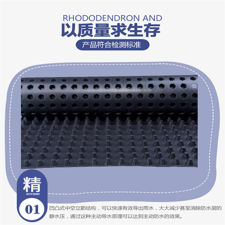 排水板日照廠家，供應(yīng)日照排水板，生產(chǎn)排水板日照潤果實(shí)業(yè)集團(tuán)