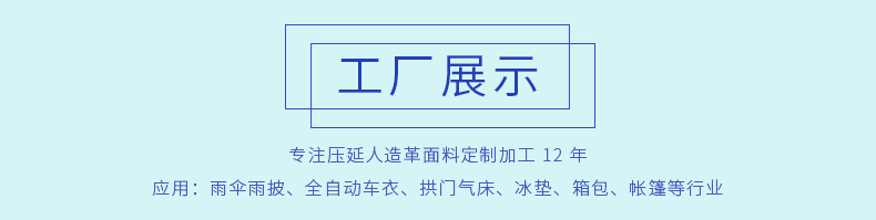 雪花布舞龍布 陽離子牛津箱包里布面料pvc螞蟻布戶外運(yùn)動(dòng)帳篷面料示例圖15