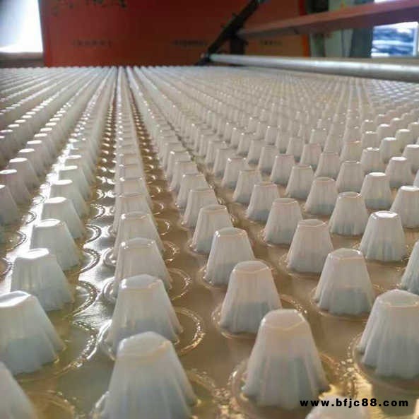 丹陽(yáng)排水板 杯狀排水板 網(wǎng)狀交織排水板 凹凸型排水板 唐能公司銷(xiāo)售丹陽(yáng)全市