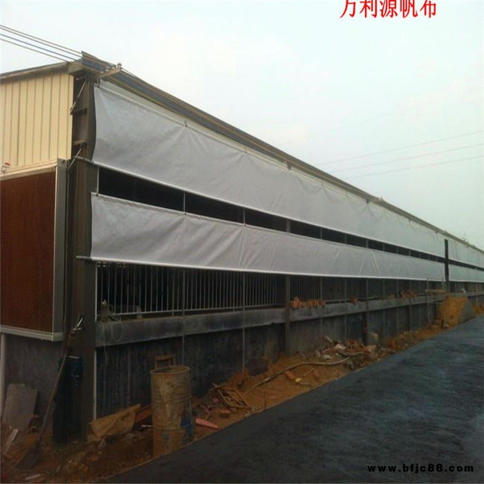 廠家生產(chǎn)養(yǎng)殖卷簾防水布油布篷布批發(fā)-加工豬場擋簾布-養(yǎng)鴿場防風(fēng)布-牛場側(cè)簾優(yōu)惠促銷